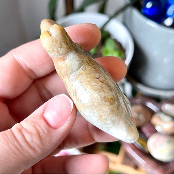 🦖Crazy Lace Agate Crystal Dinosaur Dino Figure🦖 - Picture 4 of 5